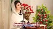Nazia Iqbal Pashto New Album Zre Lewanay Best Ghazal Pashto HD 2015