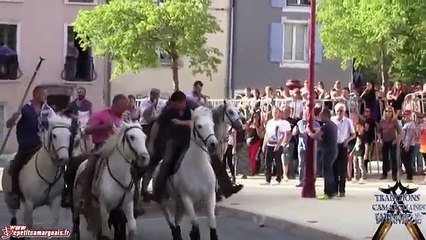ABRIVADO BANDIDO DE LA CALMETTE 09 MAI 2015 APREM