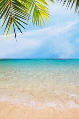 TalkingTomForMessenger(13).mp4