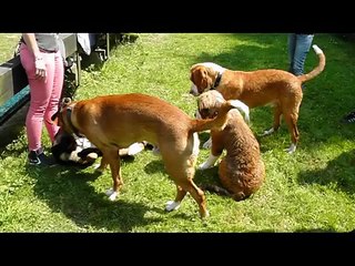 GSS Treffen Eyller See 13.07.2013