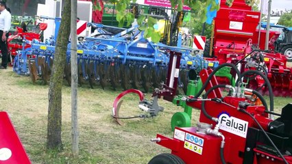 Tasquinhas de Santarem