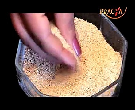 Health Alert! Benefits Of Poppy Seeds- Dr. Rakhi Kuldeep (Ayurveda Expert)