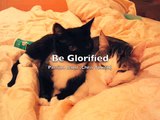 Be Glorified - Passion (Chris Tomlin)