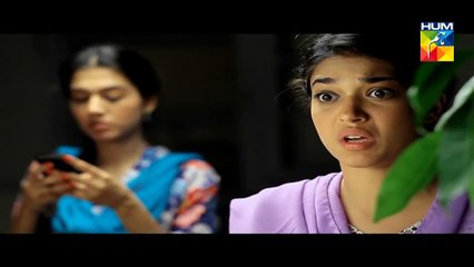 Mohabbat Subh Ka Sitara Hai Episode 6 - HUM TV Drama