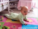 Videos   Baby and Dog Funny   Cute Dogs And Adorable Babies   Best Babies and Animals Compilation