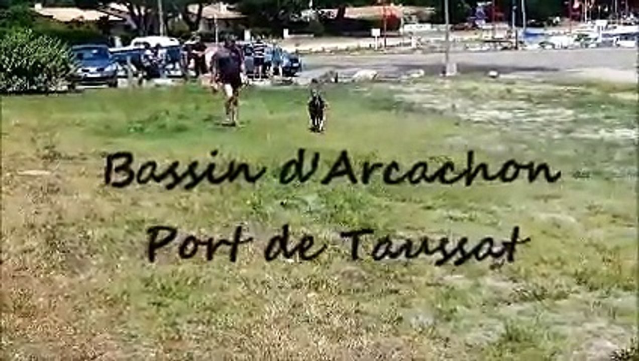 APPRENTISSAGE DU RAPPORT EN EAU PROFONDE