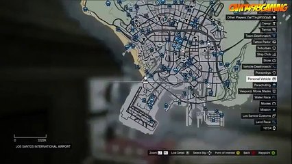 GTA 5 Online Fish Out Of Water Glitch (Animation Glitch)