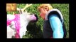 Anna Kidnapped! Frozen Family Kids, Anna, Kristoff CAMPING TRIP & HANS! Barbie Parody DisneyCarToys