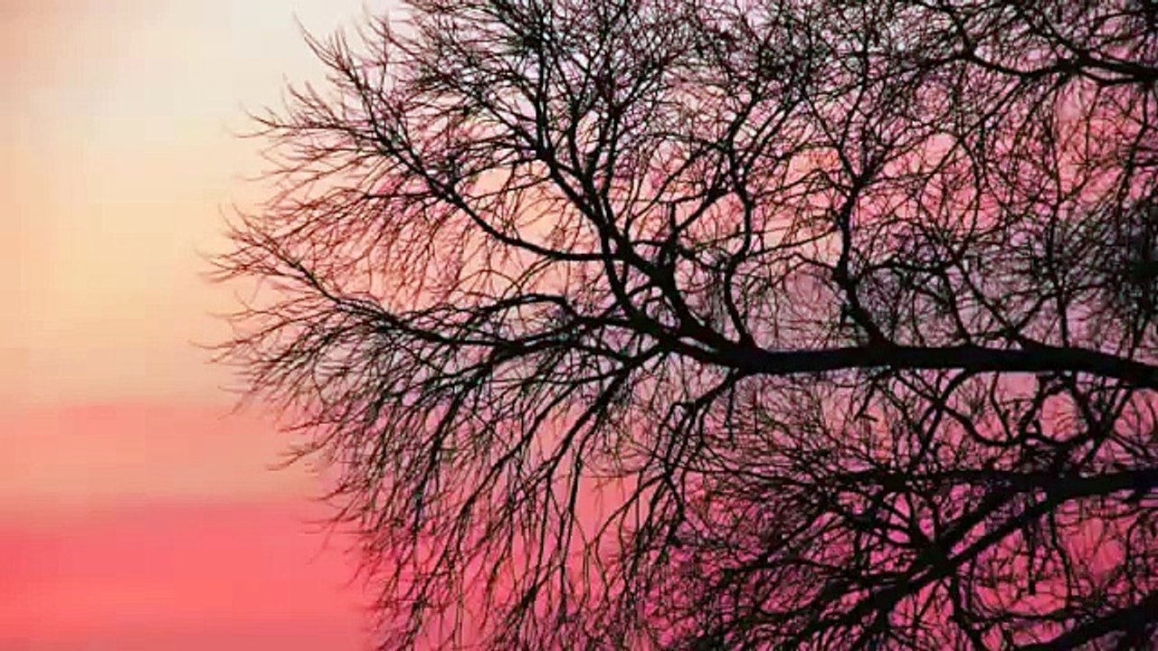 Rameau-Les Boréades-Entrée de Polymnie-Marc Minkowski
