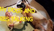Funny dogs and babies talking   Cute dog & baby compilation   Video Dailymotion   Video Dailymotion