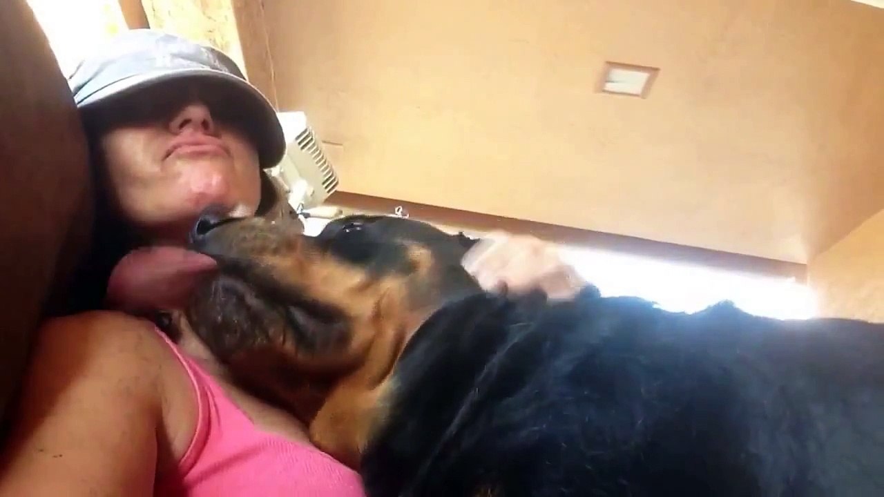 best funny dog in the world