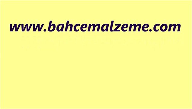 Lavanta tohumu,lavanta tohumu satış,lavanta tohumu fiyatı,Lavanta Tohumu Ankara,Lavanta tohumu izmir,lavanta hohumu ekimi,lavanta tohumu yetiştiriciliği