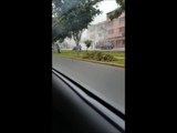 WhatsApp: chofer salvó de milagro en incendio de auto en Surco