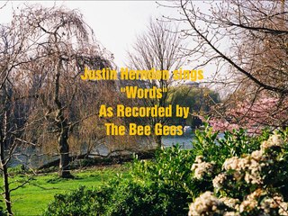 Words (Bee Gees Cover)