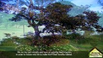 Rancho Santa Fe Panamá - Lotes y Casas de Montaña en VENTA | Bienes Raíces en Panamá