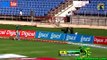 Chris Gayle 111 Runs  in CPL 2014 | CRIC Tube.