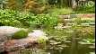 Mark Akin pond and garden design: Central Texas Gardener