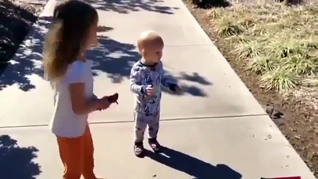 Funny Videos Funny Cats Funny Vines Funny Pranks Funny Babies Funny Animals Funny Fai