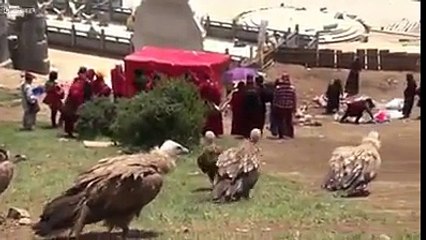 OMG! OMG! Ya Allah Barma K muslmano per Reham farma