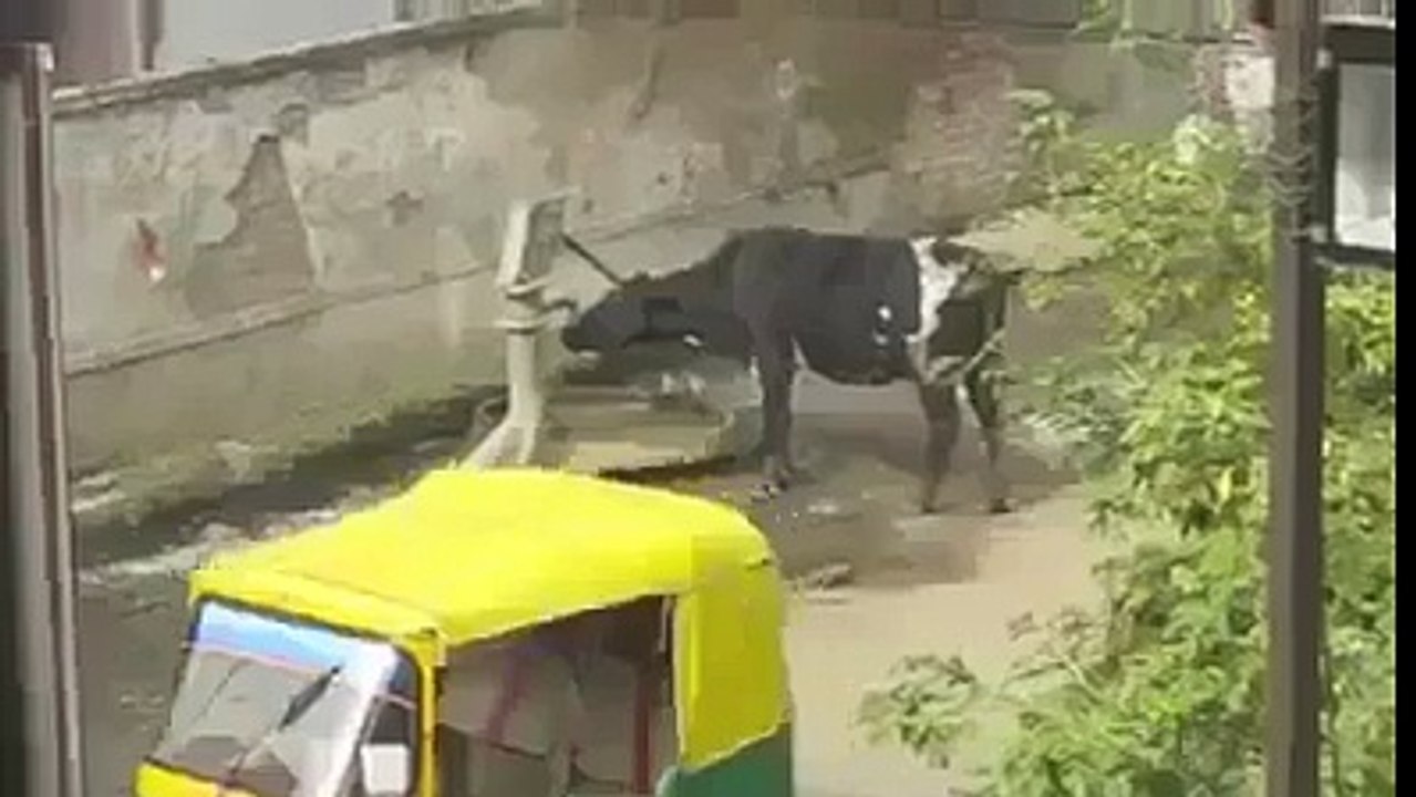 Everything pick up things from the environment