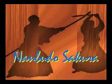 Exhibición nanbudo gala deporte sabiñánigo