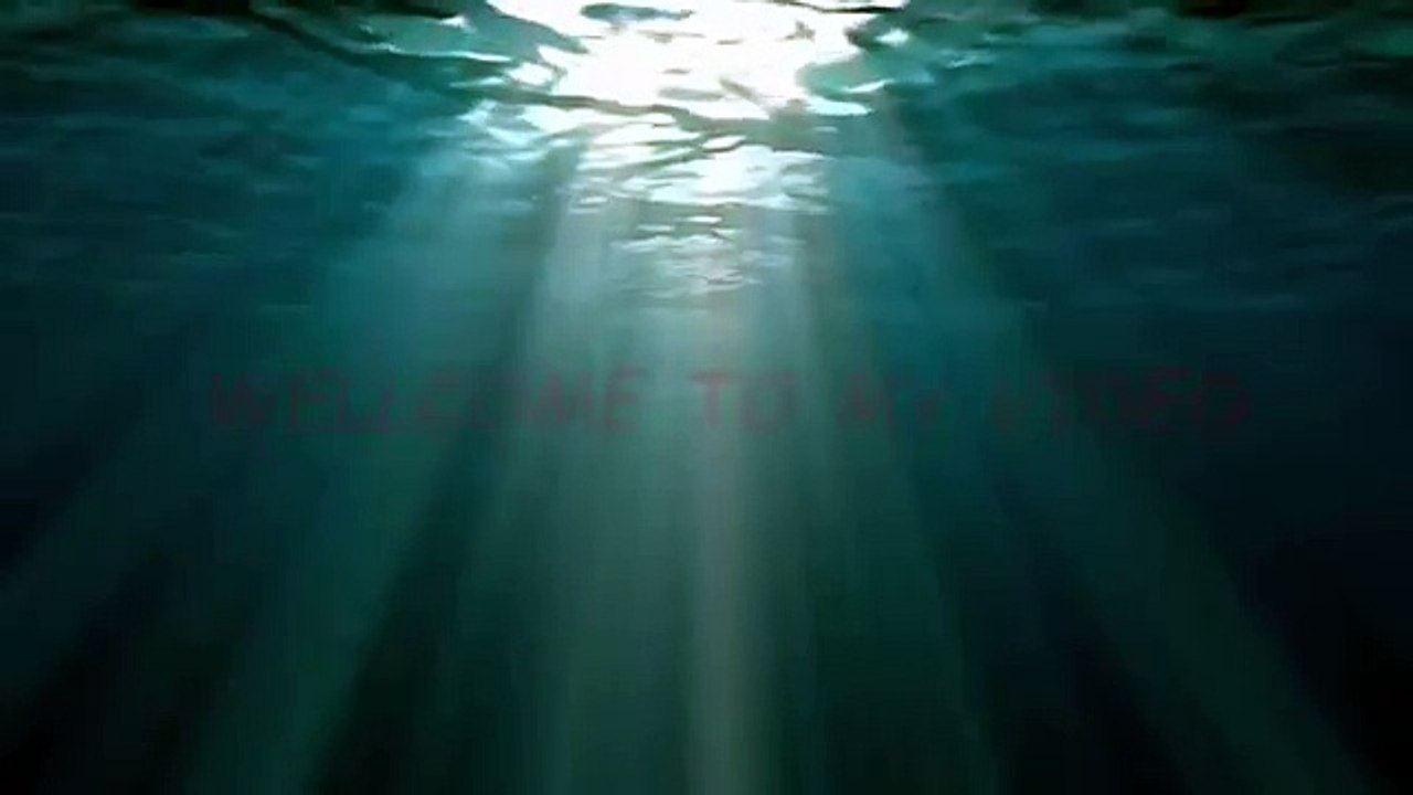 BANDAI NAMCO Games, Video Games, BANDAI NAMCO Games,