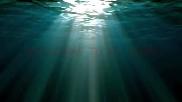 BANDAI NAMCO Games, Video Games, BANDAI NAMCO Games,