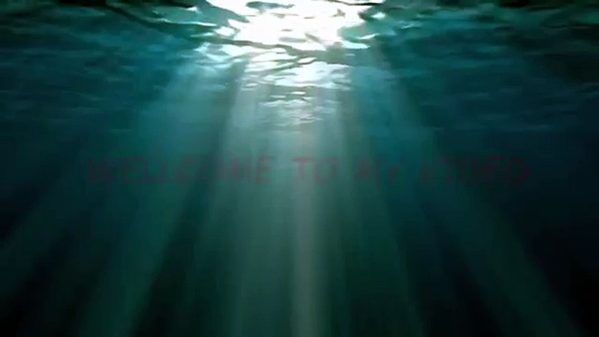 BANDAI NAMCO Games, Video Games, BANDAI NAMCO Games,