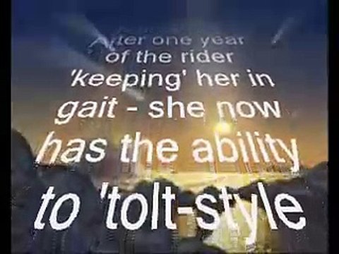 Natural racking gaits in horses