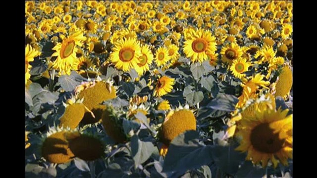 Cycling the Camino de Santiago de Compostela