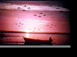 Tears From The Compound Eye (Lachrymatory Edit)