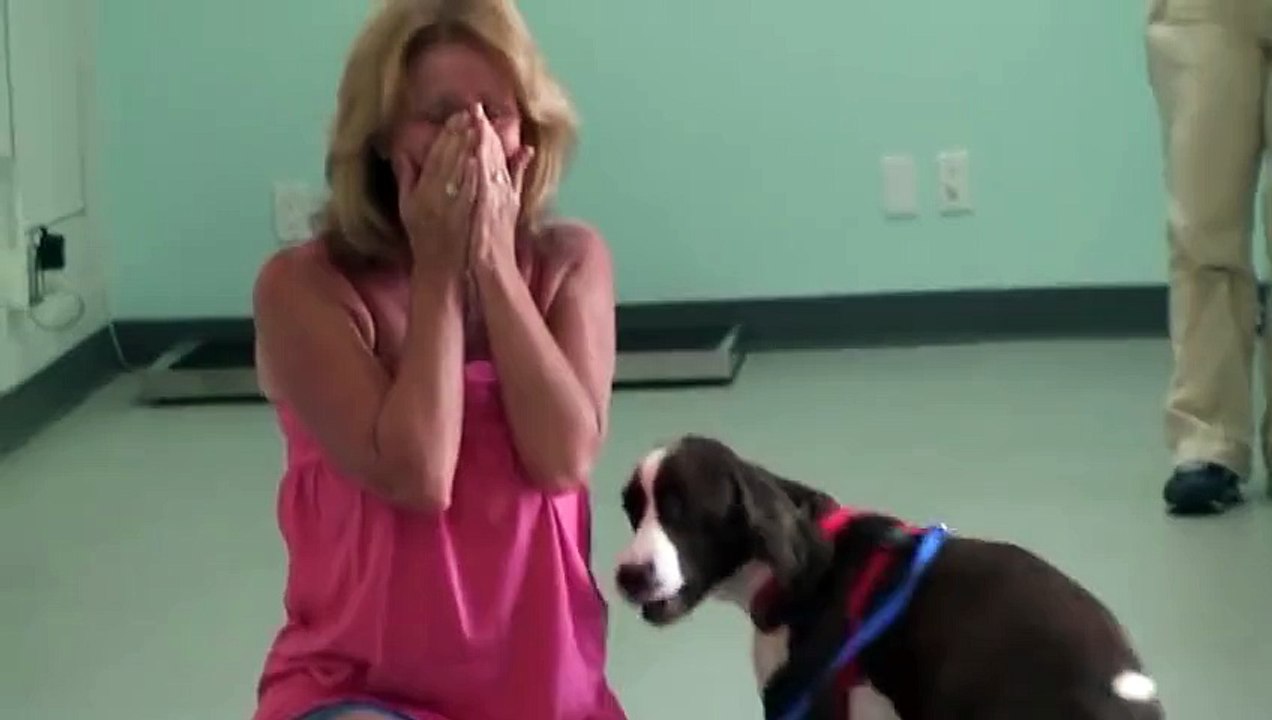 Chien handicapé remarche après une longue rééducation : magique!!