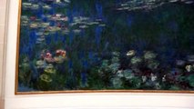 Monet's Water Lilies [Nymphéas] Paris Musée de l'Orangerie, sneaky footage.