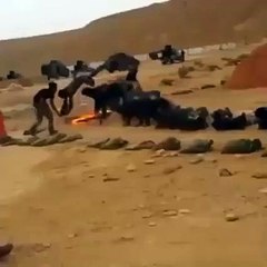 Motivotional Video For All Ages