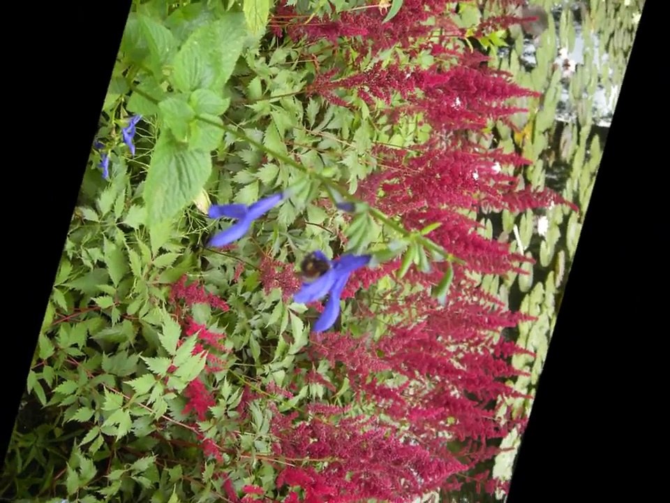 Giverny jardin et maison de Claude Monet