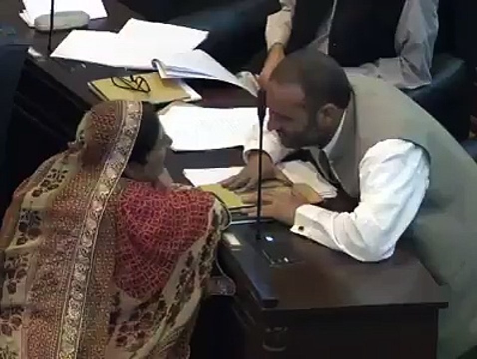 یہ دیکھیں اسمبلیوں میں کیا ھوتا ھے