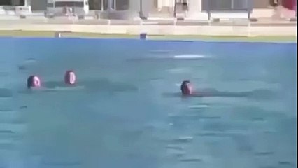 Funny dolphin Attack