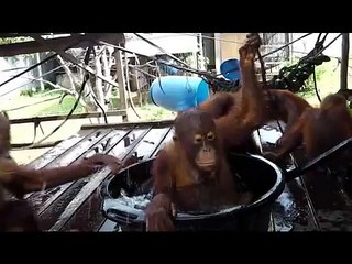 Puyol - the star defender - won't let anyone else join in splash time!