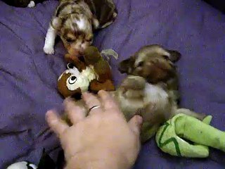 les bébés de delia et chanel