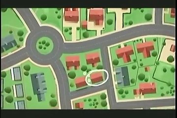 ABC Felino-Gato Rescatado Gracias A Un Micro Chip