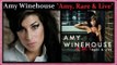 Amy Winehouse - He Can Only Hold Her Doo Wop (That Thing)