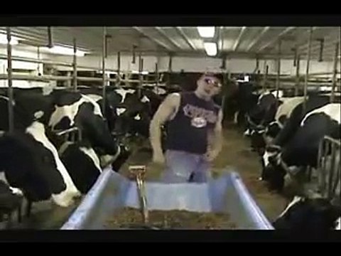 MILKING GLOVES - BLUE MILKING GLOVES - BLUE NITRILE MILKING GLOVES