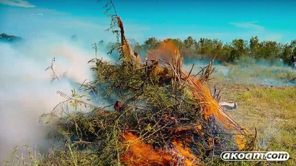 الفيلم الوثائقي جزيرة قرود الليمور مدغشقر مترجم