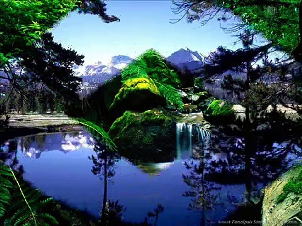 تلاوة هادئة من سورة الصافات القارئ اليمني محمد صالح