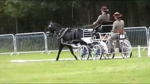 Carriage Driving National Championships Novice Pony Dressage 2011