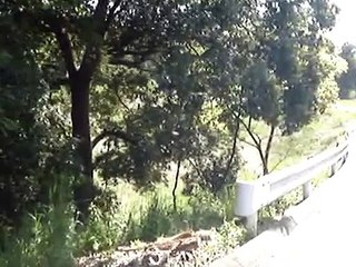 Walking around my house in countryside, Japan