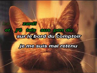 KARAOKE PARODIE WILLIAM BALDE - Un soir au bistrot