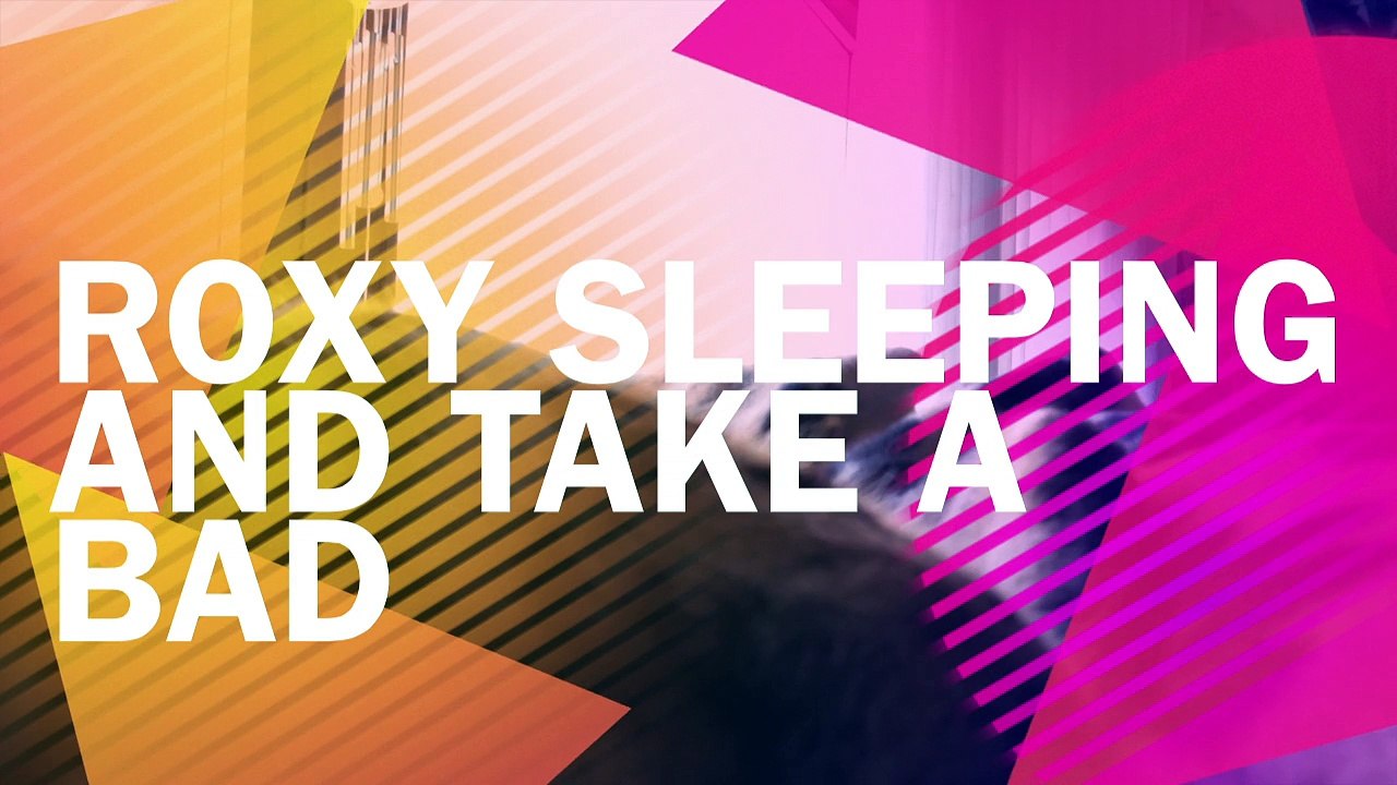 Roxy - wakes and take a bad