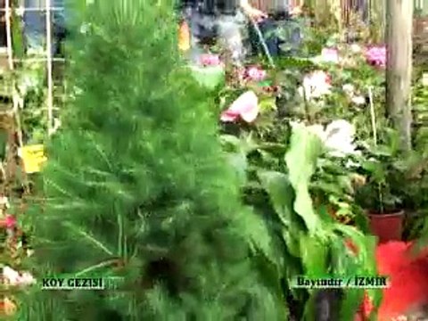 219 Bayındır Cicek Festivali