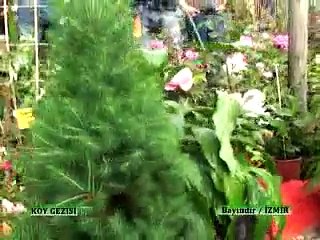 219 Bayındır Cicek Festivali